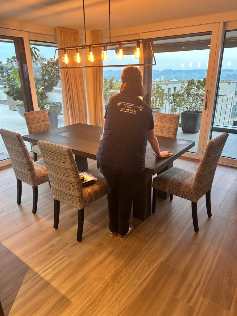 nägeli reinigungen & transporte plus ag