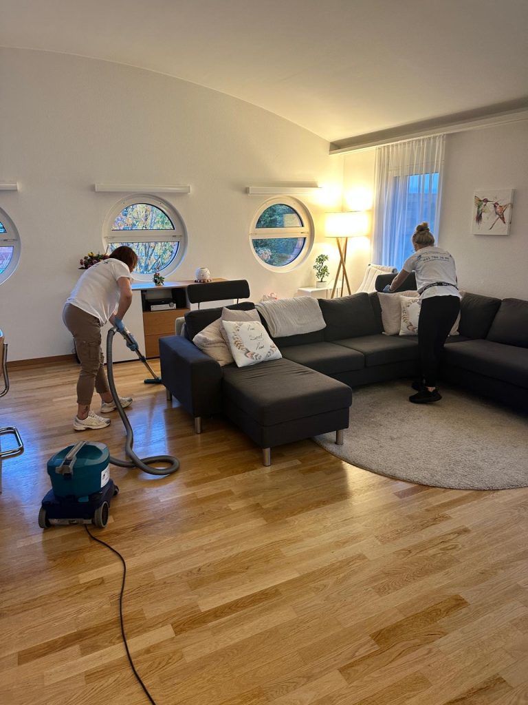 nägeli reinigungen & transporte plus ag